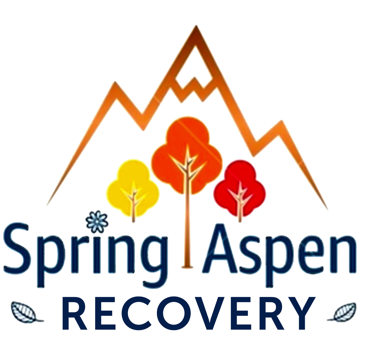 Spring Aspen Recovery